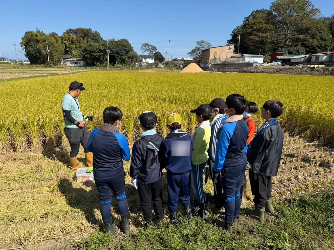 刈る前の田んぼで、稲の説明を聞きます